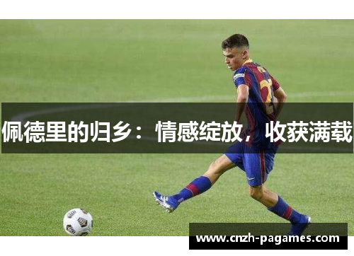 佩德里的归乡：情感绽放，收获满载