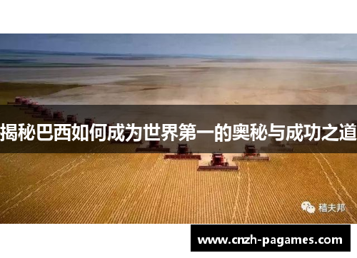 揭秘巴西如何成为世界第一的奥秘与成功之道