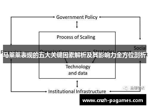 马莱莱表现的五大关键因素解析及其影响力全方位剖析